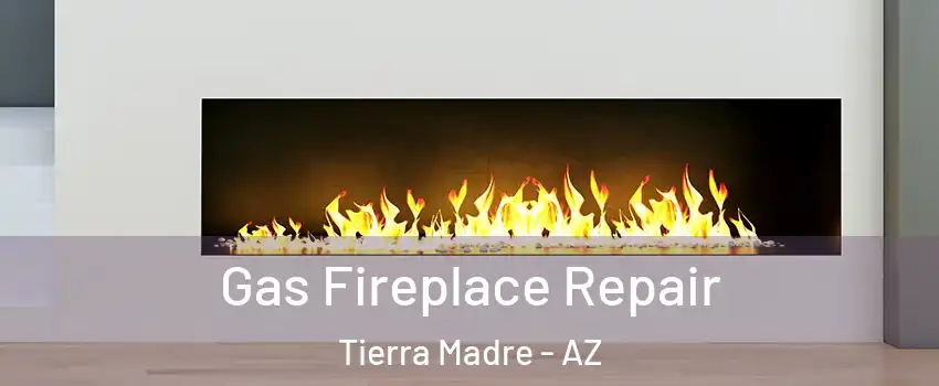 Gas Fireplace Repair Tierra Madre - AZ