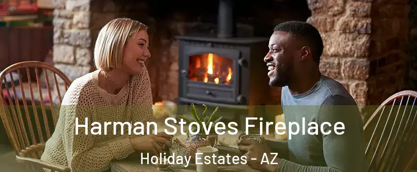 Harman Stoves Fireplace Holiday Estates - AZ