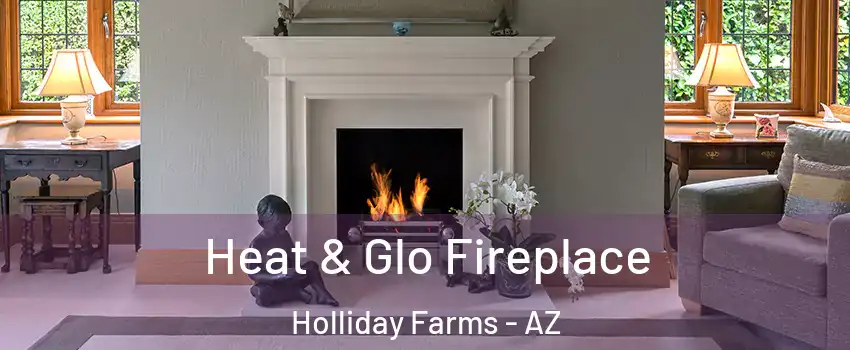 Heat & Glo Fireplace Holliday Farms - AZ