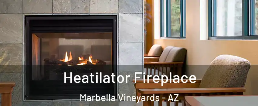 Heatilator Fireplace Marbella Vineyards - AZ
