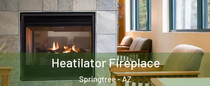 Heatilator Fireplace Springtree - AZ