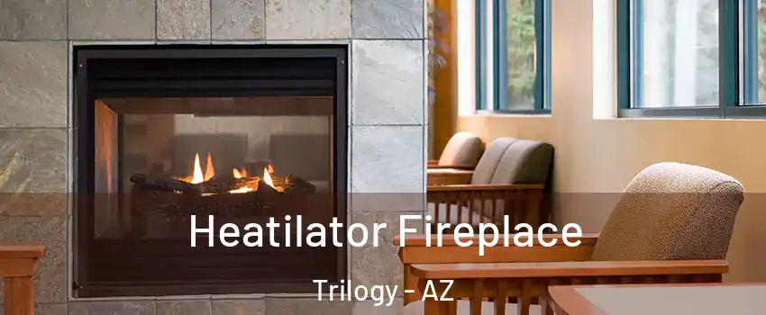 Heatilator Fireplace Trilogy - AZ