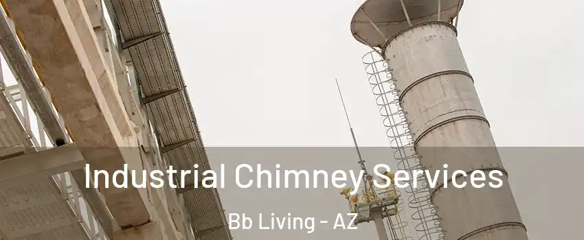 Industrial Chimney Services Bb Living - AZ