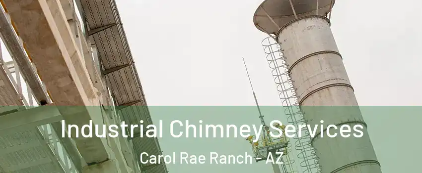 Industrial Chimney Services Carol Rae Ranch - AZ