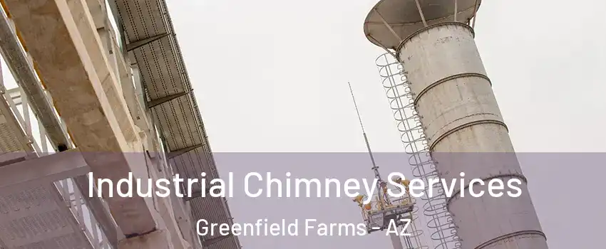 Industrial Chimney Services Greenfield Farms - AZ