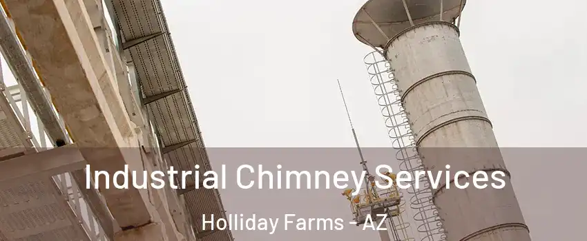 Industrial Chimney Services Holliday Farms - AZ