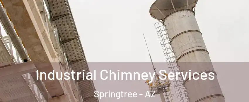 Industrial Chimney Services Springtree - AZ