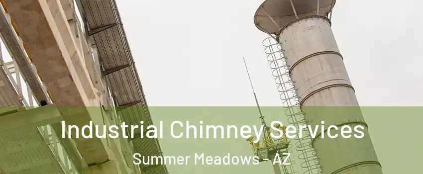 Industrial Chimney Services Summer Meadows - AZ