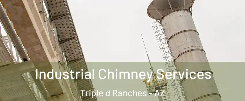 Industrial Chimney Services Triple d Ranches - AZ