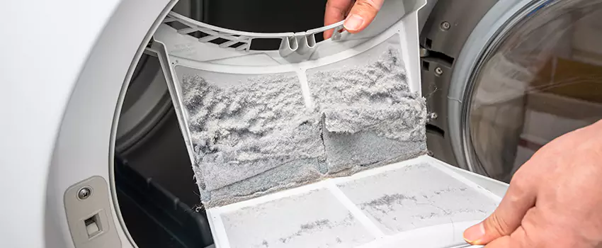 Best Dryer Lint Removal Company in Highland Groves At Morrison Ranch, Arizona