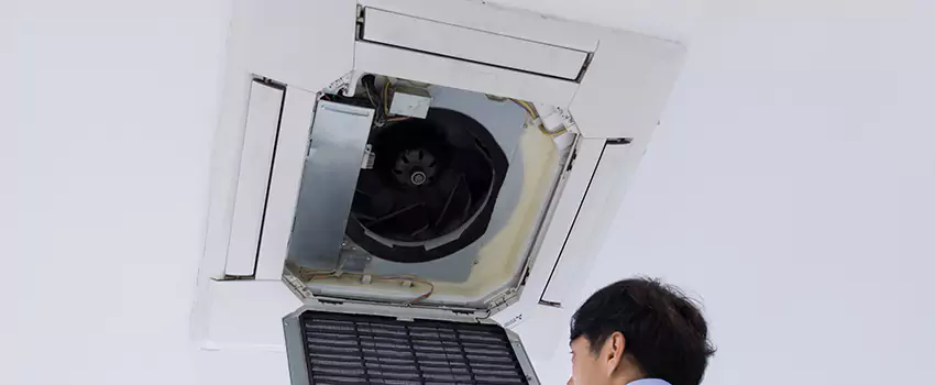 Benefits of Professional Air Duct Cleaning in Circle g Ranches 2 & 2a, Arizona