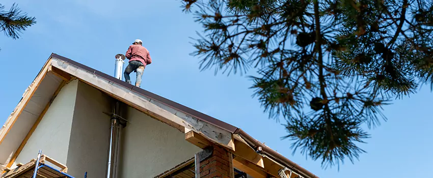Birds Removal Contractors from Chimney in Creed's Addition, AZ