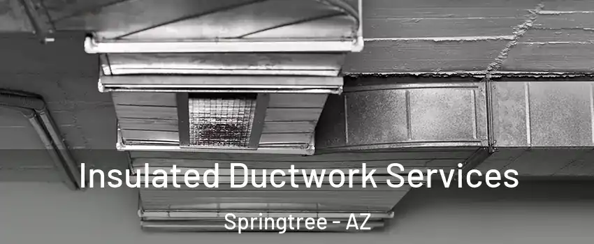 Insulated Ductwork Services Springtree - AZ