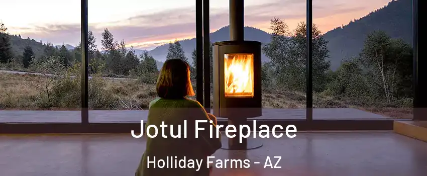Jotul Fireplace Holliday Farms - AZ