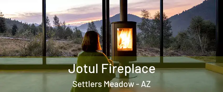 Jotul Fireplace Settlers Meadow - AZ
