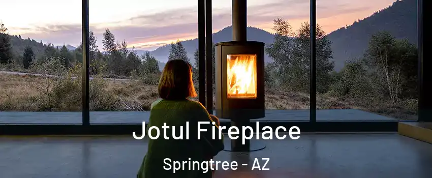 Jotul Fireplace Springtree - AZ