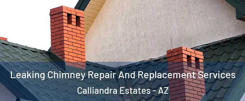 Leaking Chimney Repair And Replacement Services Calliandra Estates - AZ
