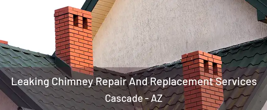 Leaking Chimney Repair And Replacement Services Cascade - AZ