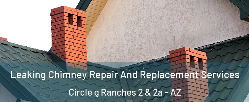 Leaking Chimney Repair And Replacement Services Circle g Ranches 2 & 2a - AZ