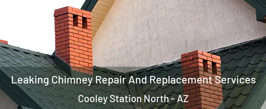 Leaking Chimney Repair And Replacement Services Cooley Station North - AZ