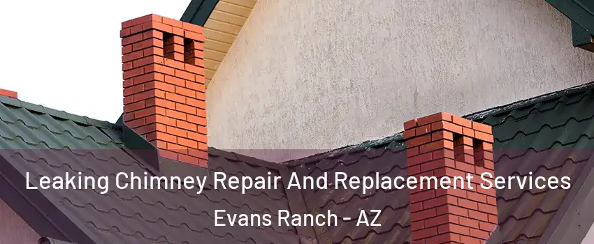Leaking Chimney Repair And Replacement Services Evans Ranch - AZ