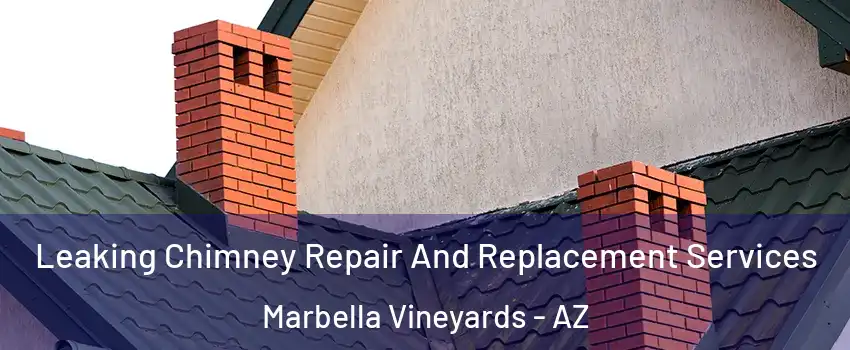 Leaking Chimney Repair And Replacement Services Marbella Vineyards - AZ