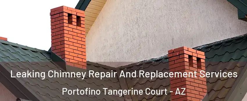 Leaking Chimney Repair And Replacement Services Portofino Tangerine Court - AZ