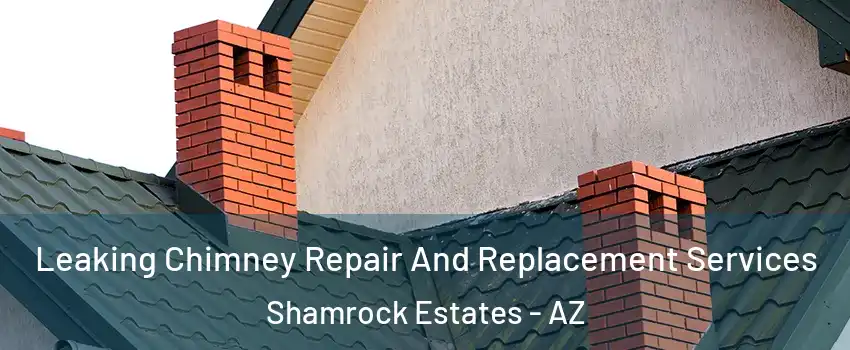 Leaking Chimney Repair And Replacement Services Shamrock Estates - AZ