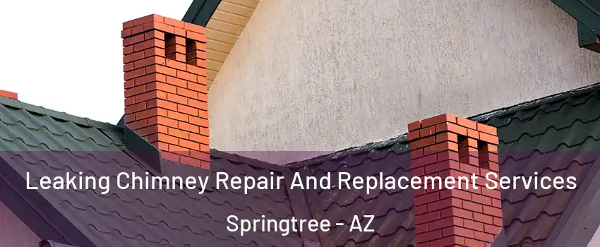Leaking Chimney Repair And Replacement Services Springtree - AZ
