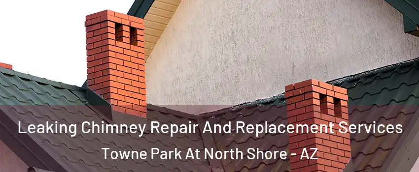 Leaking Chimney Repair And Replacement Services Towne Park At North Shore - AZ