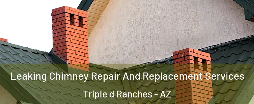 Leaking Chimney Repair And Replacement Services Triple d Ranches - AZ