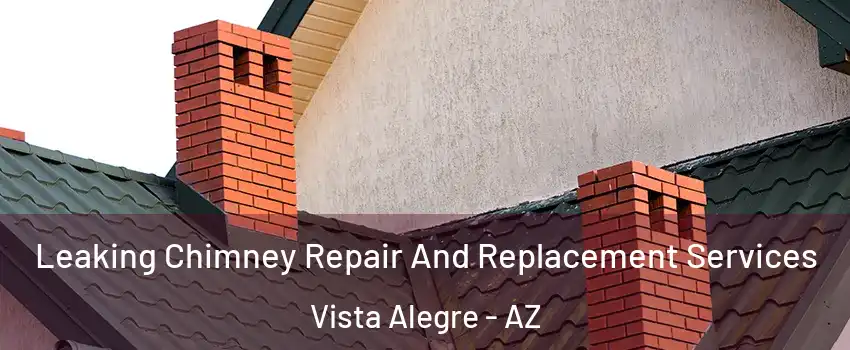 Leaking Chimney Repair And Replacement Services Vista Alegre - AZ