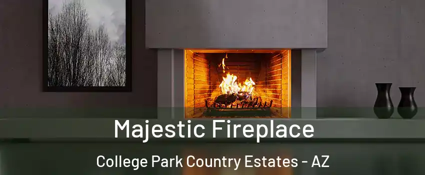 Majestic Fireplace College Park Country Estates - AZ