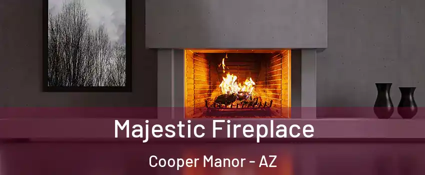 Majestic Fireplace Cooper Manor - AZ