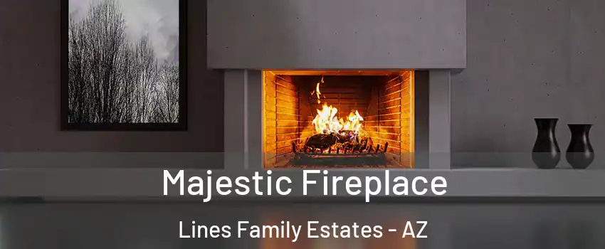 Majestic Fireplace Lines Family Estates - AZ