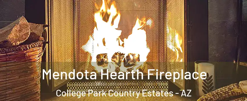 Mendota Hearth Fireplace College Park Country Estates - AZ