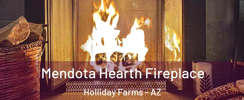Mendota Hearth Fireplace Holliday Farms - AZ