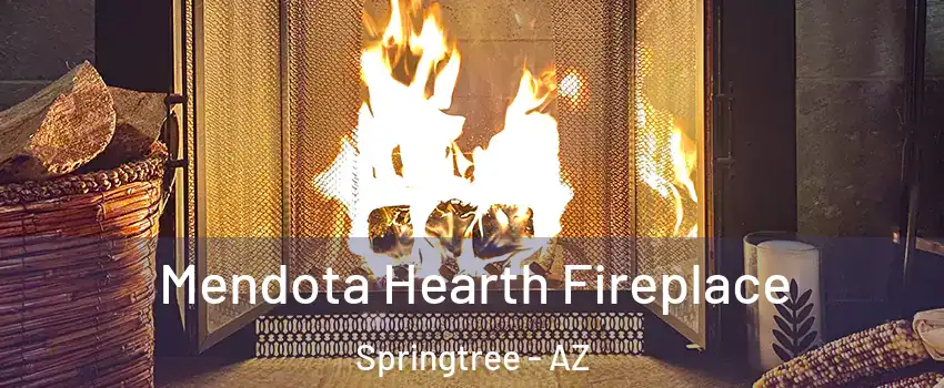 Mendota Hearth Fireplace Springtree - AZ
