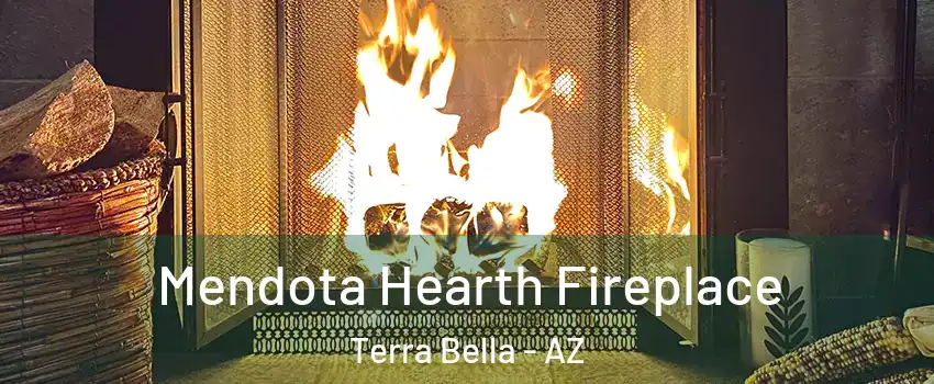Mendota Hearth Fireplace Terra Bella - AZ