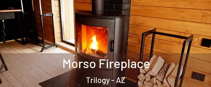 Morso Fireplace Trilogy - AZ