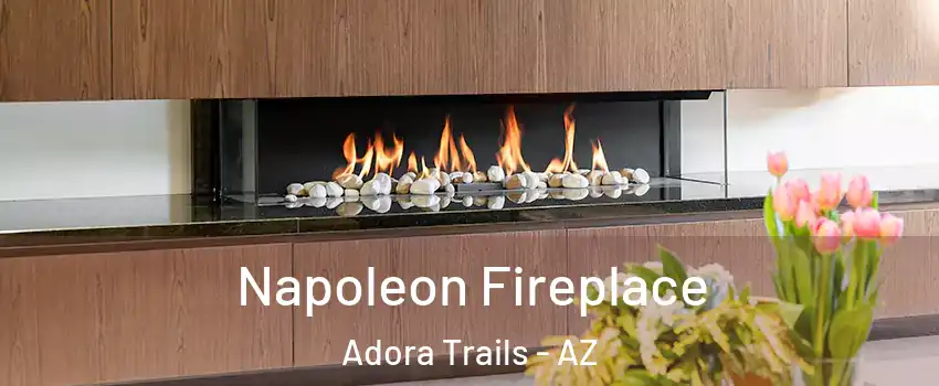 Napoleon Fireplace Adora Trails - AZ