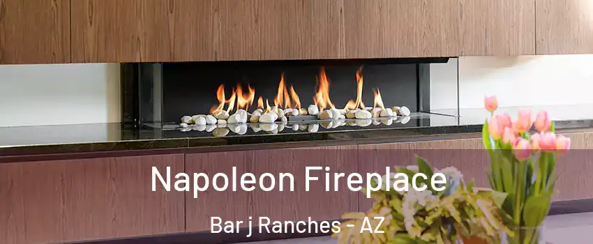 Napoleon Fireplace Bar j Ranches - AZ