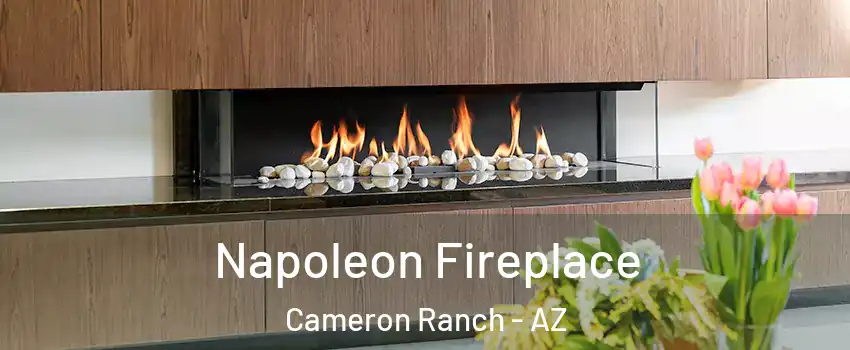 Napoleon Fireplace Cameron Ranch - AZ