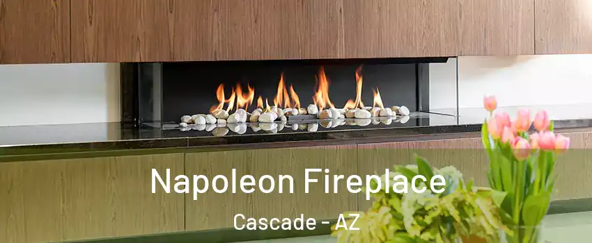 Napoleon Fireplace Cascade - AZ