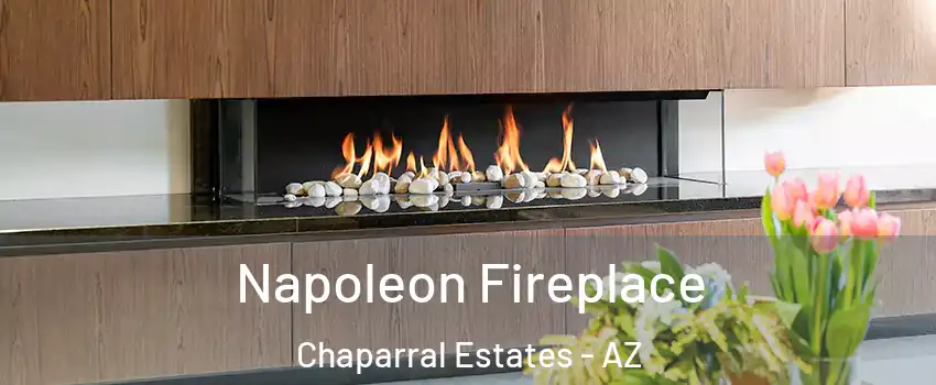 Napoleon Fireplace Chaparral Estates - AZ