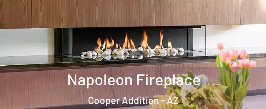Napoleon Fireplace Cooper Addition - AZ