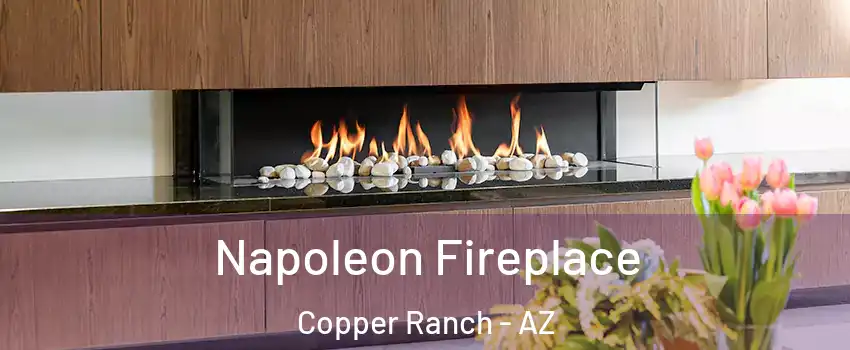 Napoleon Fireplace Copper Ranch - AZ