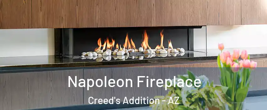 Napoleon Fireplace Creed's Addition - AZ