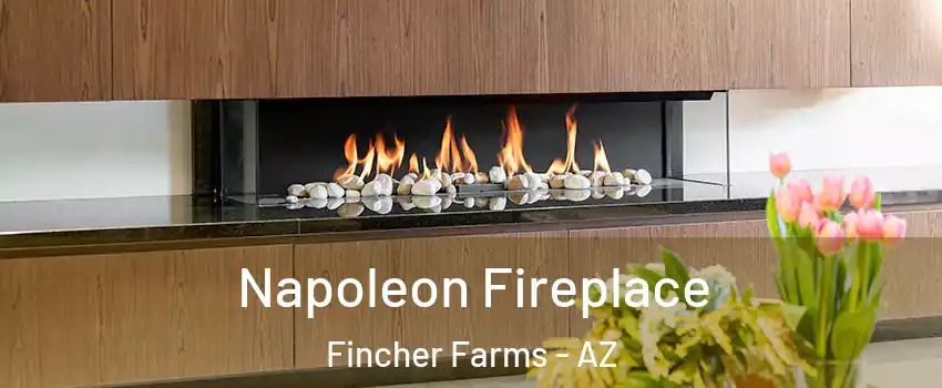 Napoleon Fireplace Fincher Farms - AZ