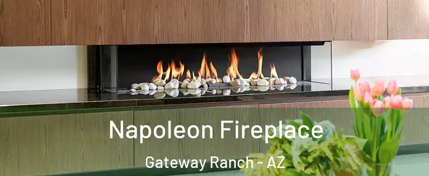 Napoleon Fireplace Gateway Ranch - AZ